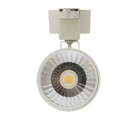 Aura Track Light