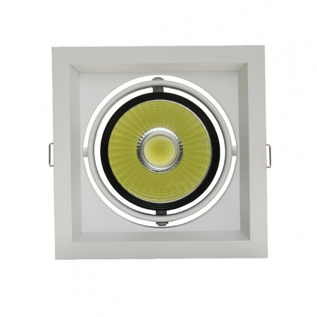 Move Downlight